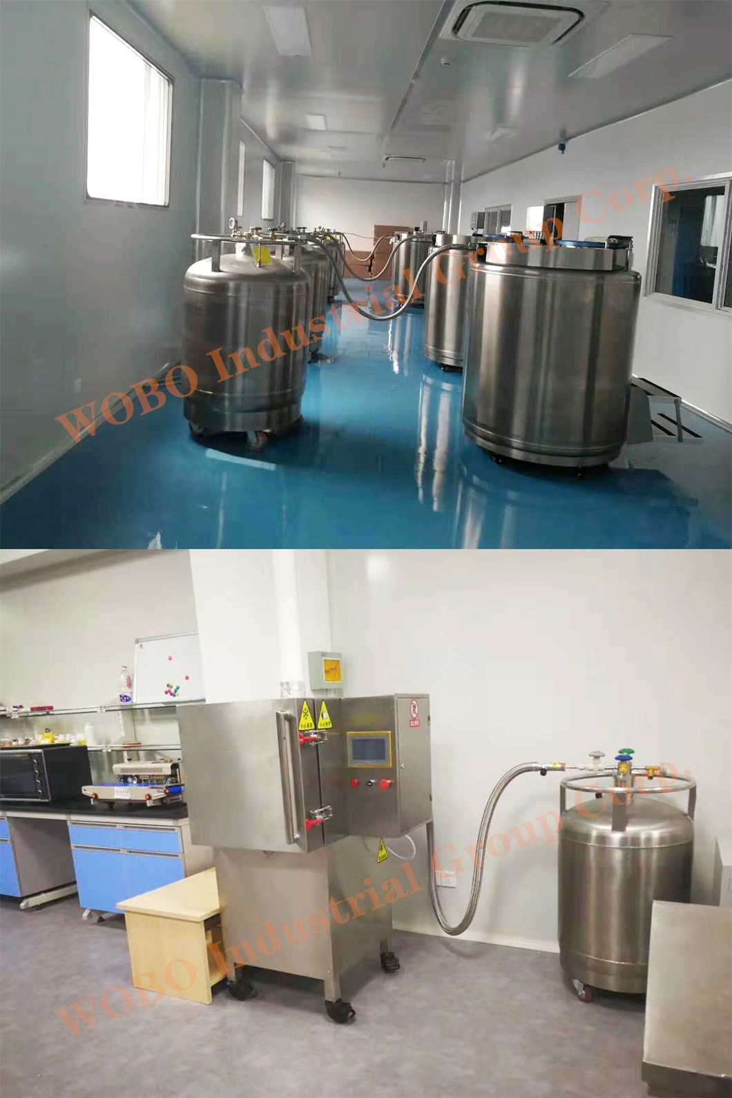 Liquid Nitrogen Cryogenic Storage Container for Labratory Supply